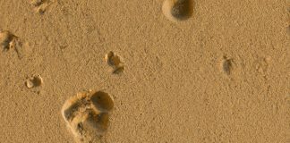 footprint
